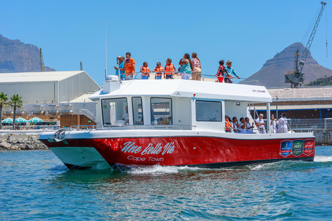 30min V&amp;A Waterfront Harbour Cruise Cape Town