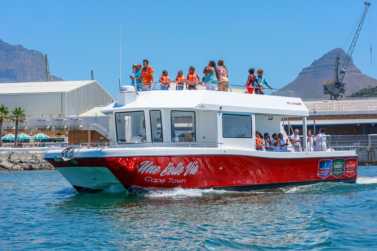 30min V&A Waterfront Harbour Cruise Cape Town