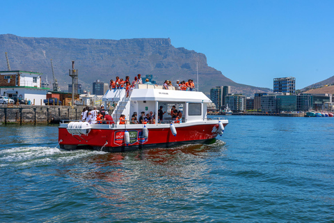 30min V&amp;A Waterfront Harbour Cruise Kaapstad