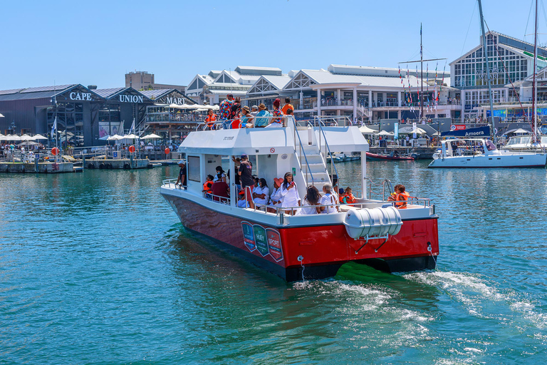 30min V&amp;A Waterfront Hamnkryssning Kapstaden