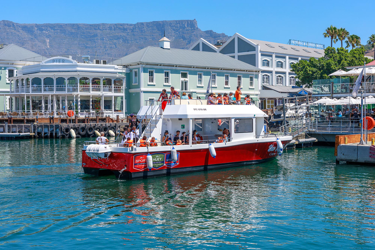 30min V&amp;A Waterfront Hamnkryssning Kapstaden