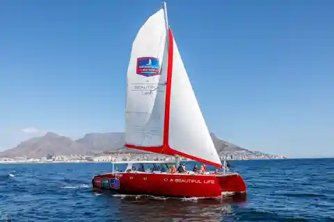 Croisière de 60 minutes en catamaran côtier au Cap