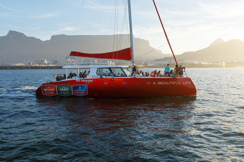 1,5 Uur Catamaran Champagne Sunset Cruise Kaapstad
