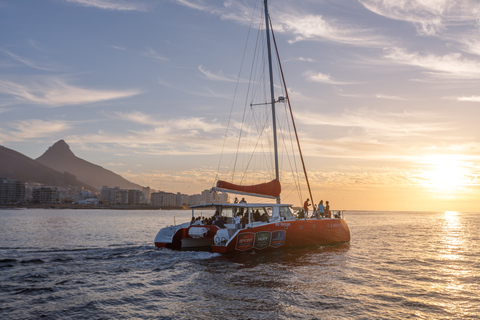 1,5 Uur Catamaran Champagne Sunset Cruise Kaapstad