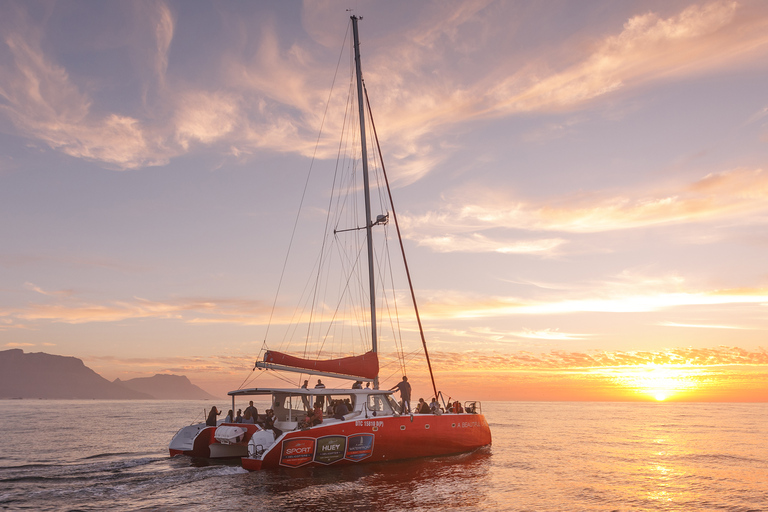 1,5 Uur Catamaran Champagne Sunset Cruise Kaapstad