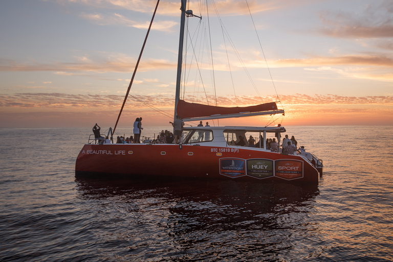 1,5 Uur Catamaran Champagne Sunset Cruise Kaapstad