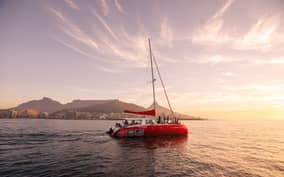 Cape Town: Catamaran Champagne Sunset Cruise