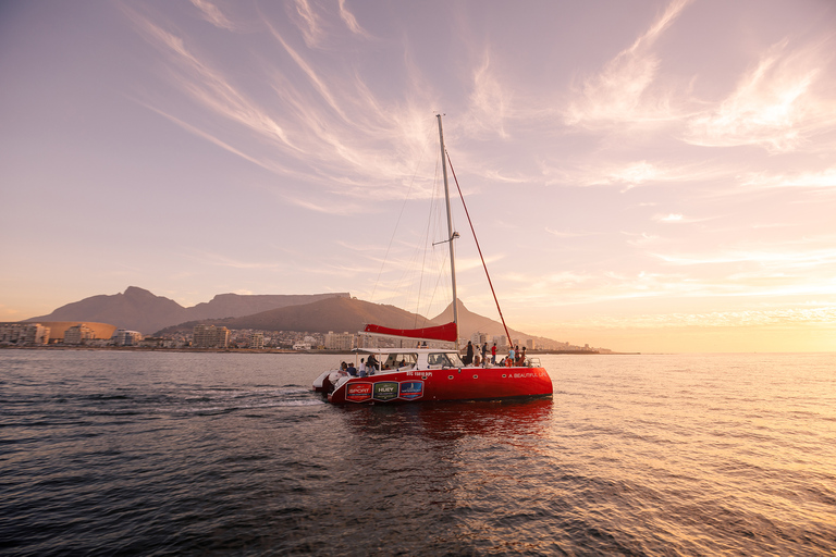 1,5 Uur Catamaran Champagne Sunset Cruise Kaapstad
