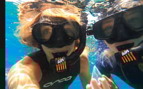 - Canarie.it