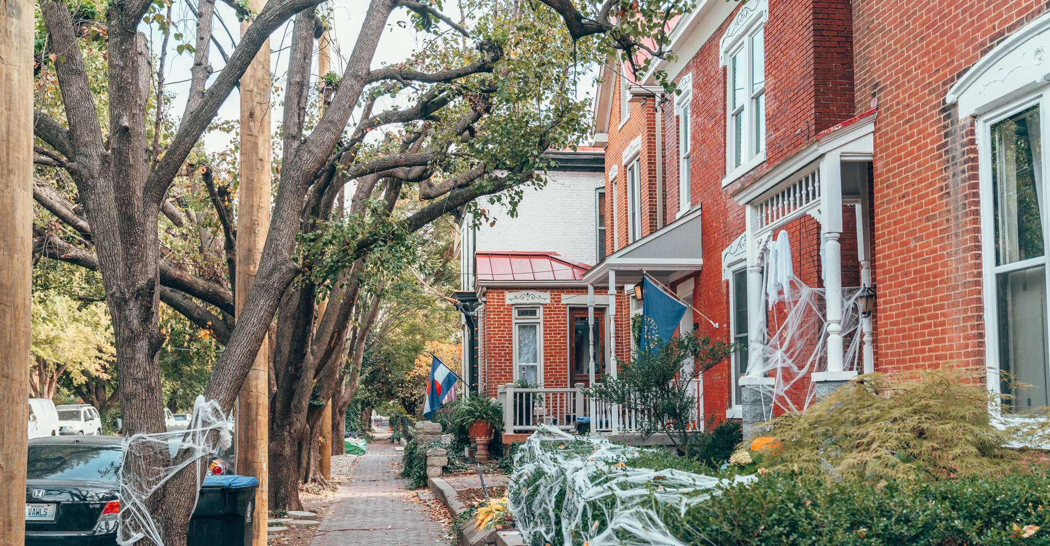 Louisville, NuLu District Food and History Tour - Housity