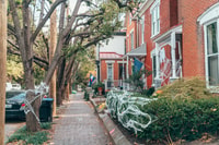 Louisville, Nulu District Food and History Tour - Housity