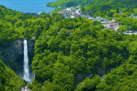 Desde Tokio: Excursión privada de un día a Nikko, Patrimonio de la Humanidad