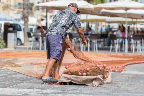 Malta: Förhistoriska tempel och höjdpunkter i söderMed engelsktalande guide