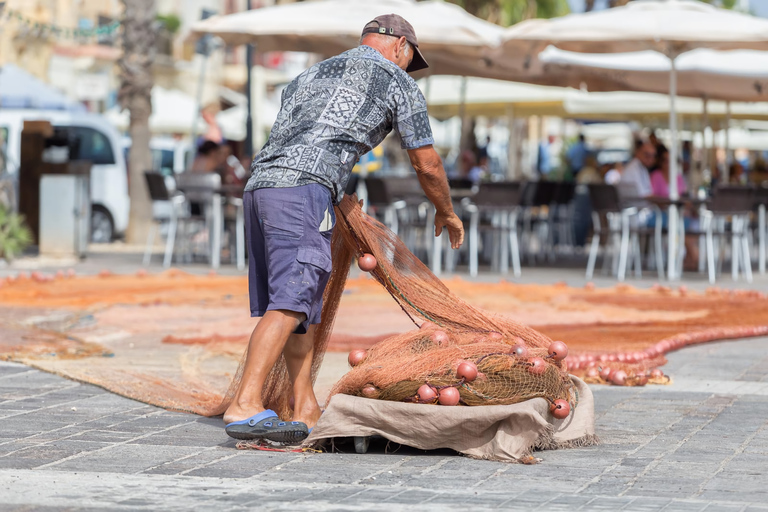 Malta: Templos pré-históricos e destaques do sulCom guia em inglês