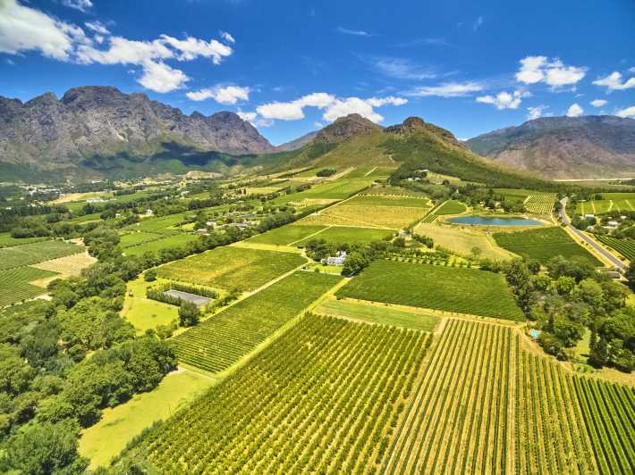 Stellenbosch & Franschhoek Wine Tasting Tour