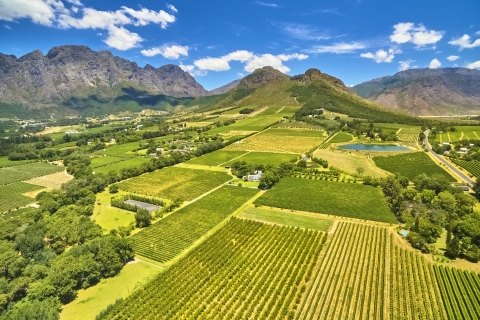 Cape Town: visite d'une journée dans les vignoblesVisite guidée en anglais
