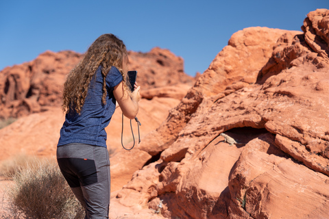 Las Vegas: Valley of Fire und Seven Magic Mountains Tagestour