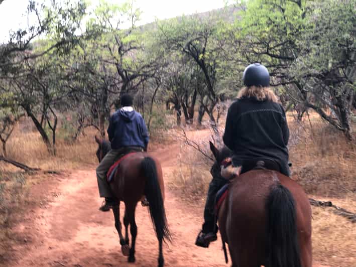 From Johannesburg HorseRiding Safari and Cable Car Tour GetYourGuide