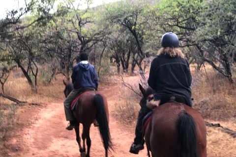 Z Johannesburga: jazda konna i wycieczka kolejką linową