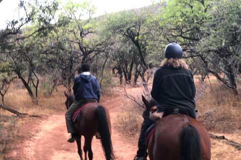 From Johannesburg: Horse-Riding Safari and Cable Car Tour