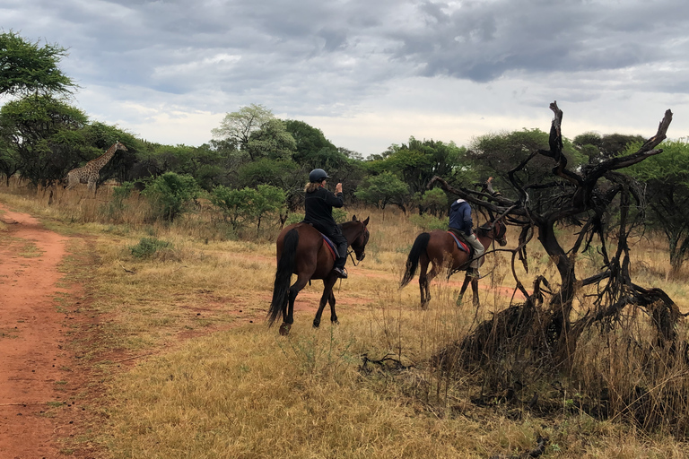 Desde Johannesburgo: safari a caballo y recorrido en teleférico