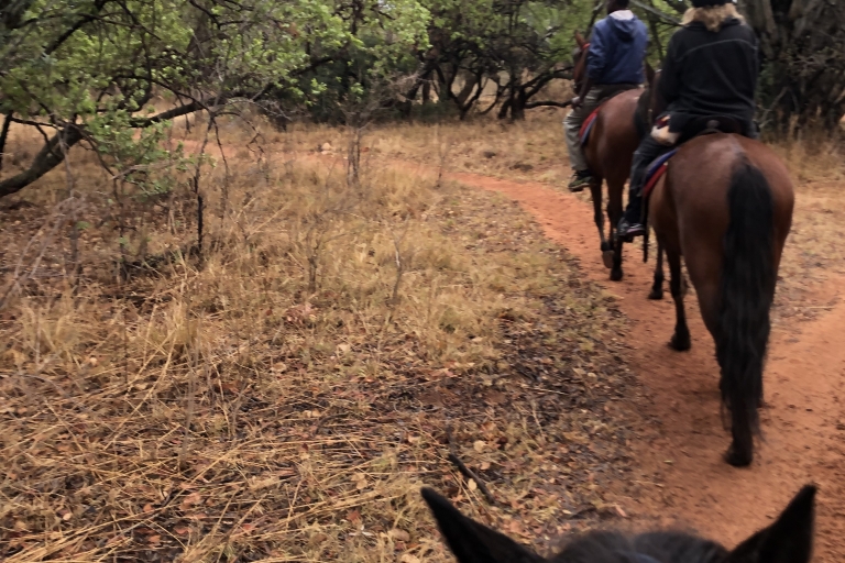 Z Johannesburga: jazda konna i wycieczka kolejką linową