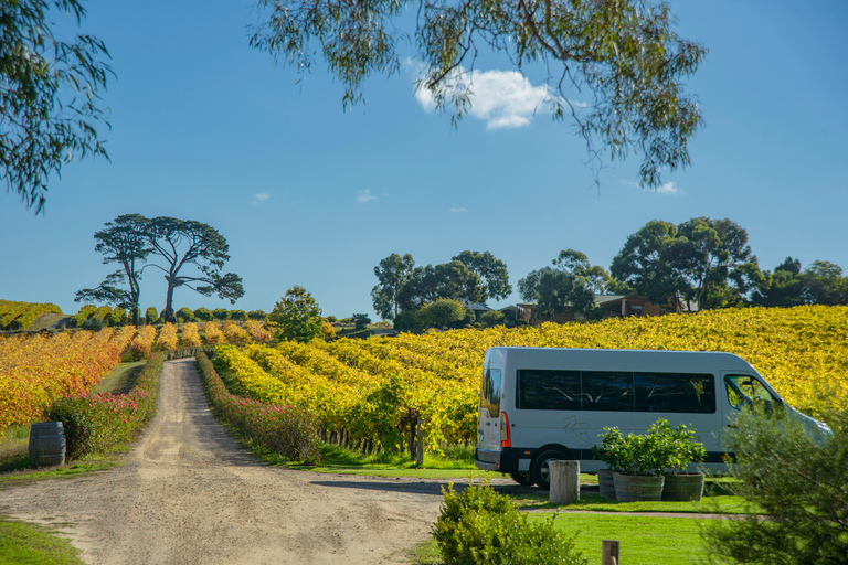 Visite en petit groupe du vignoble de McLaren ValeDécouverte du vignoble de McLaren Vale - Visite en petit groupe