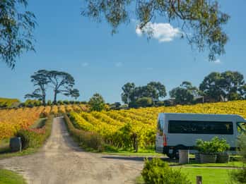 Fleurieu Peninsular: McLaren Vale Winery Experience
