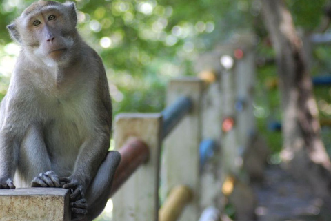 Ab Phuket: James-Bond-Insel-Tour per Longtail-Boot