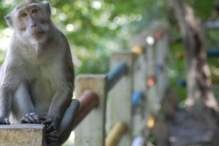 Vanuit Phuket: excursie James Bond Island per longtailboot