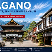 Tokyo : Nagano Snow Monkey Park Private Customizable Tour Tokyo : Nagano Snow Monkey Park Private Customizable Tour