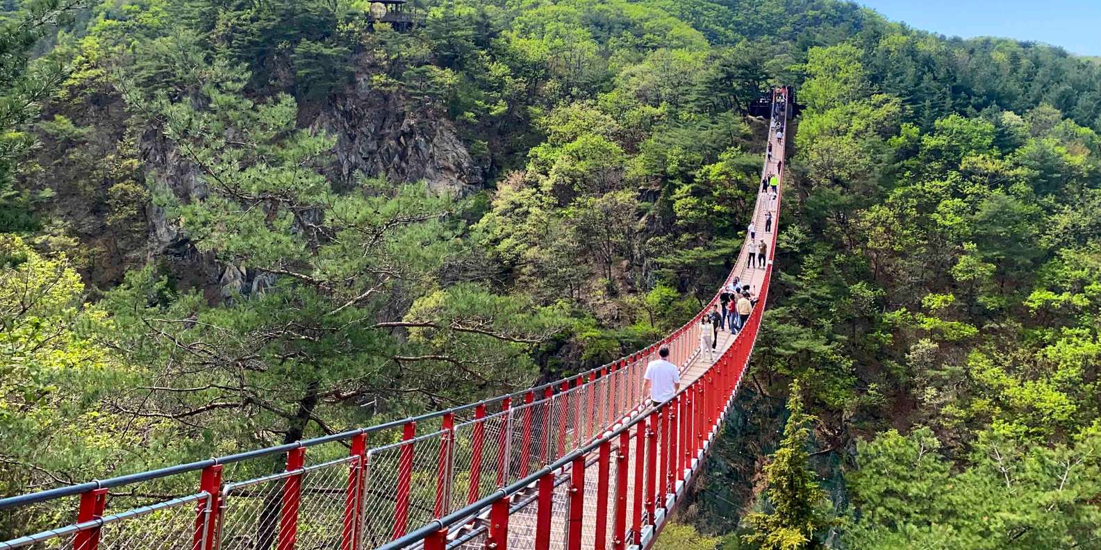 DMZ: NK Defector, 3rd Tunnel, Suspension Bridge,Hotel Pickup