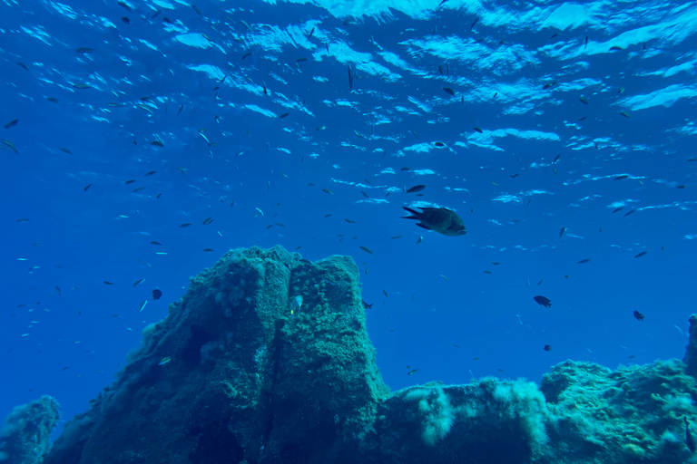 Abades: tour guidato di snorkeling con fotoAbades: Tour guidato di snorkeling con fotografie