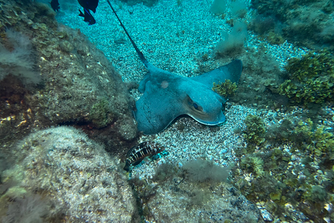 Abades: excursão guiada de mergulho com snorkel com fotosAbades: Tour guiado de mergulho com snorkel com fotos