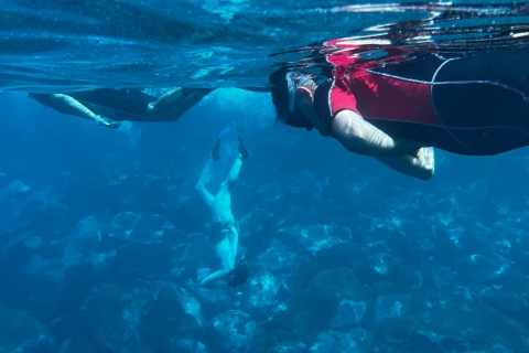 Tenerife : Excursion de snorkeling avec déjeuner et photos