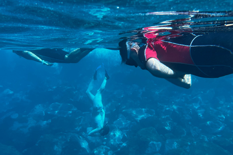 Snorkeling tour and real Tenerife typically lunch