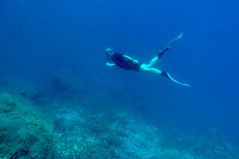 Snorkeling tour and real Tenerife typically lunch