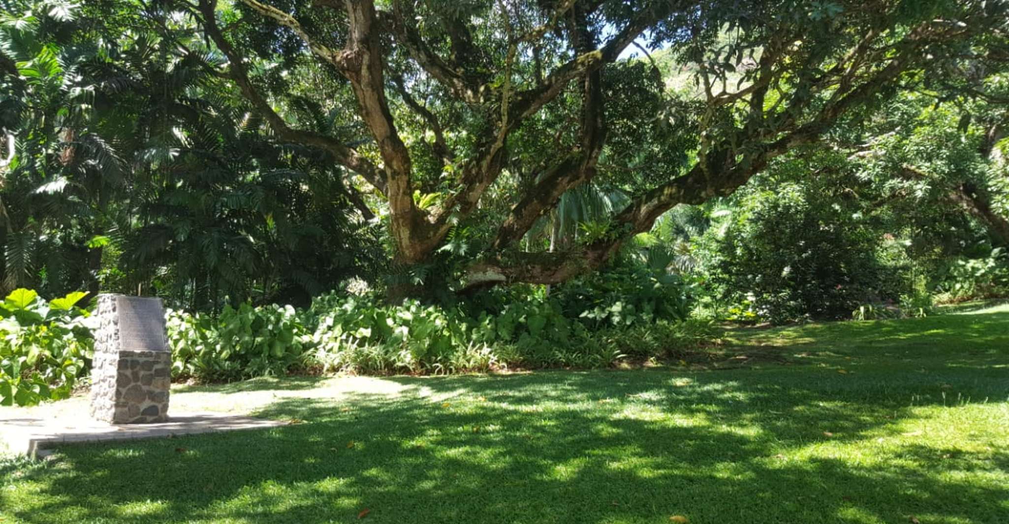 ビクトリア、ガイド付きシティツアー、植物園の入り口 - Hizvo