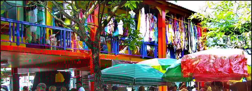 Victoria : Visite guidée de la ville et entrée aux jardins botaniques