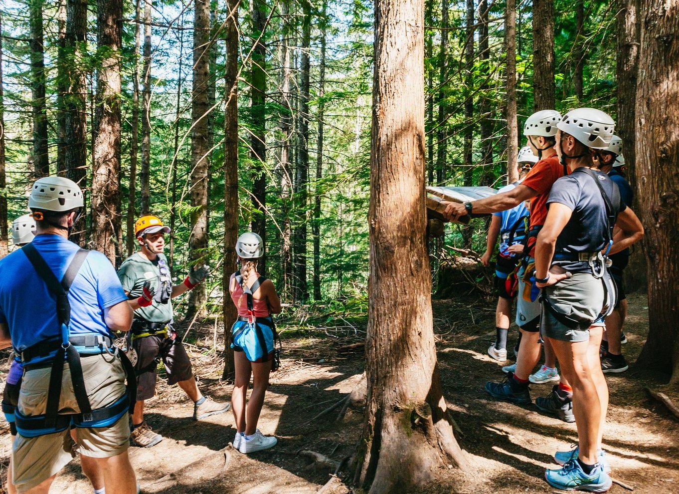 Whistler: Ziplining-oplevelse