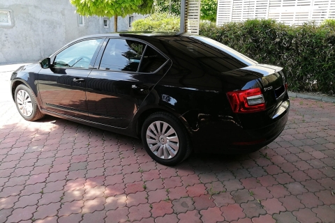 Mahdia: Private Transfer to/from Enfidha Hammamet Airport From Airport - Private Sedan