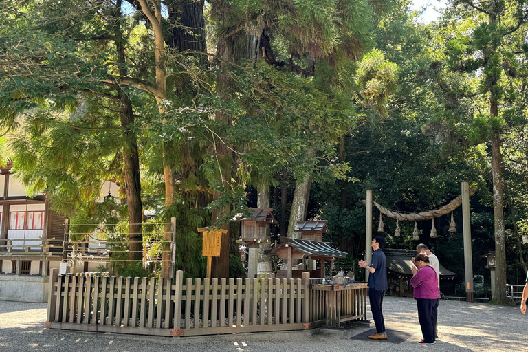 Nara: Utforska mysterierna i Omiwa Shrine