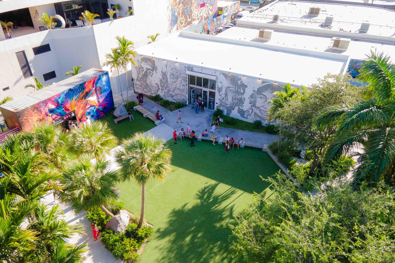 Miami: Wynwood Walls Skip-the-Line Ticket (Direct Entry)