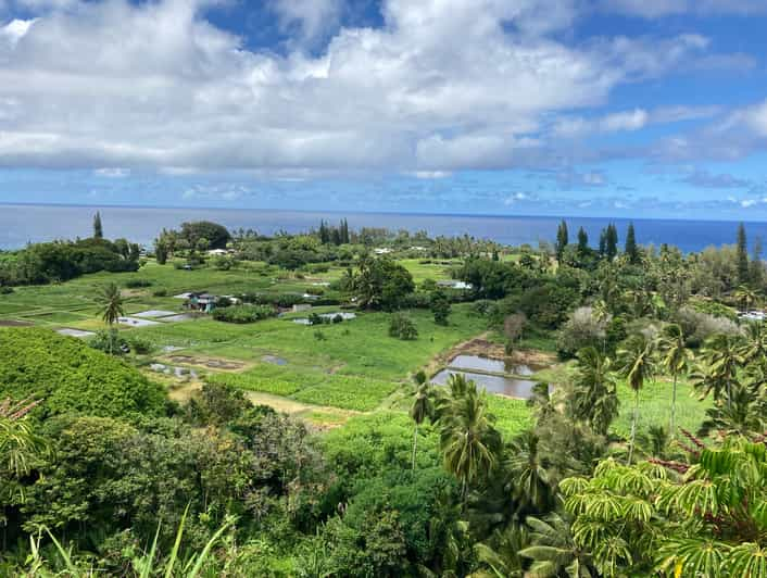 Maui Excursion touristique et photographique sur la route de Hana