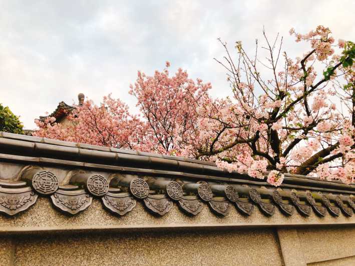 Taipei: Guided Cherry Blossom Day Tour
