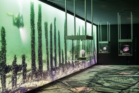 Stockholm: Vasa Museum and Vrak Museum of Wrecks Combo Entry