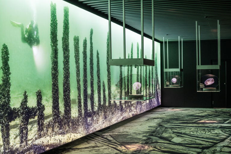 Stockholm: Vasa Museum and Vrak Museum of Wrecks Combo Entry