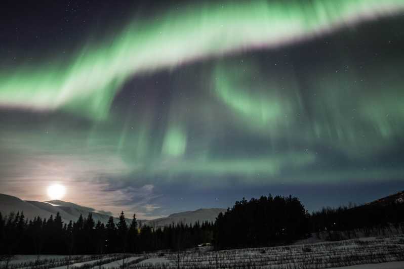 Akureyri: Northern Lights Tour en el norte de Islandia por Van