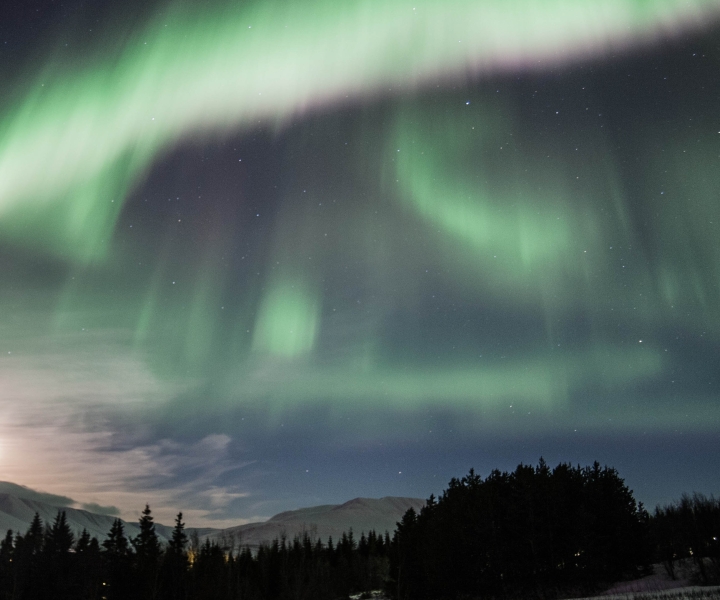 Akureyri: Northern Lights Tour in North Iceland