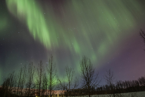 Excursão à aurora boreal saindo de Akureyri